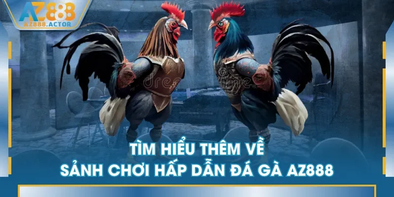 Tìm hiểu thêm về sảnh chơi hấp dẫn Đá Gà AZ888 Tìm hiểu thêm về sảnh chơi hấp dẫn Đá Gà AZ888
